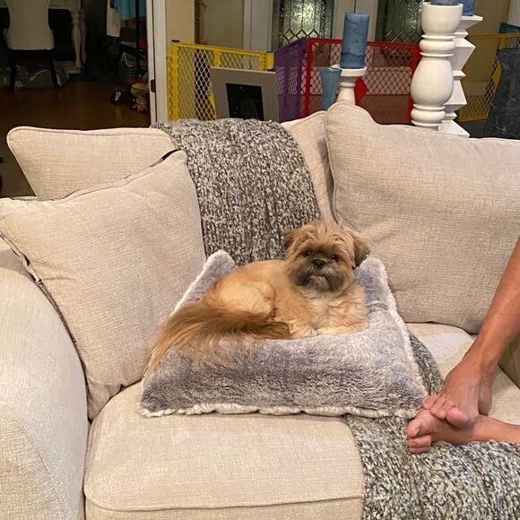 Nautica Blue Gingham Button Down Shirt - Picture 7 of 7